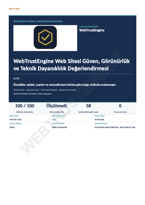 Cover page of the sample executive report: outcome 100/100, 58 pages, document code and evidence rows.